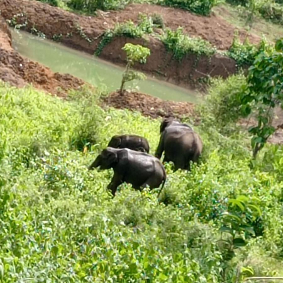 Chegāt Kuruva Shoreline Wayanad מראה חיצוני תמונה