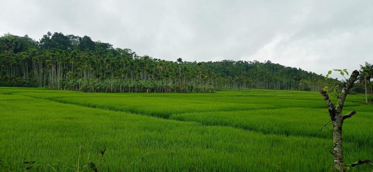 Chegāt Kuruva Shoreline Wayanad מראה חיצוני תמונה