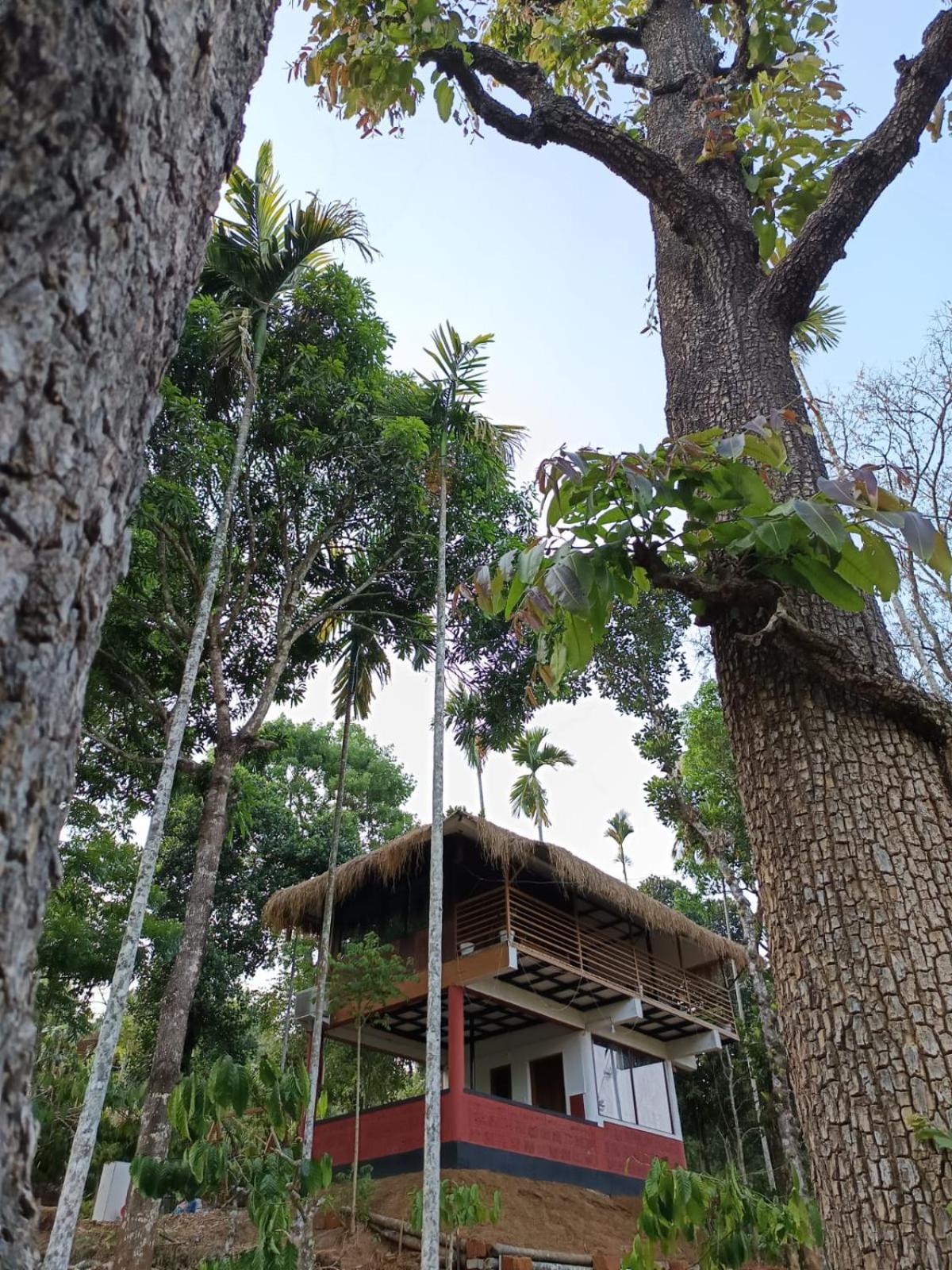 Chegāt Kuruva Shoreline Wayanad מראה חיצוני תמונה