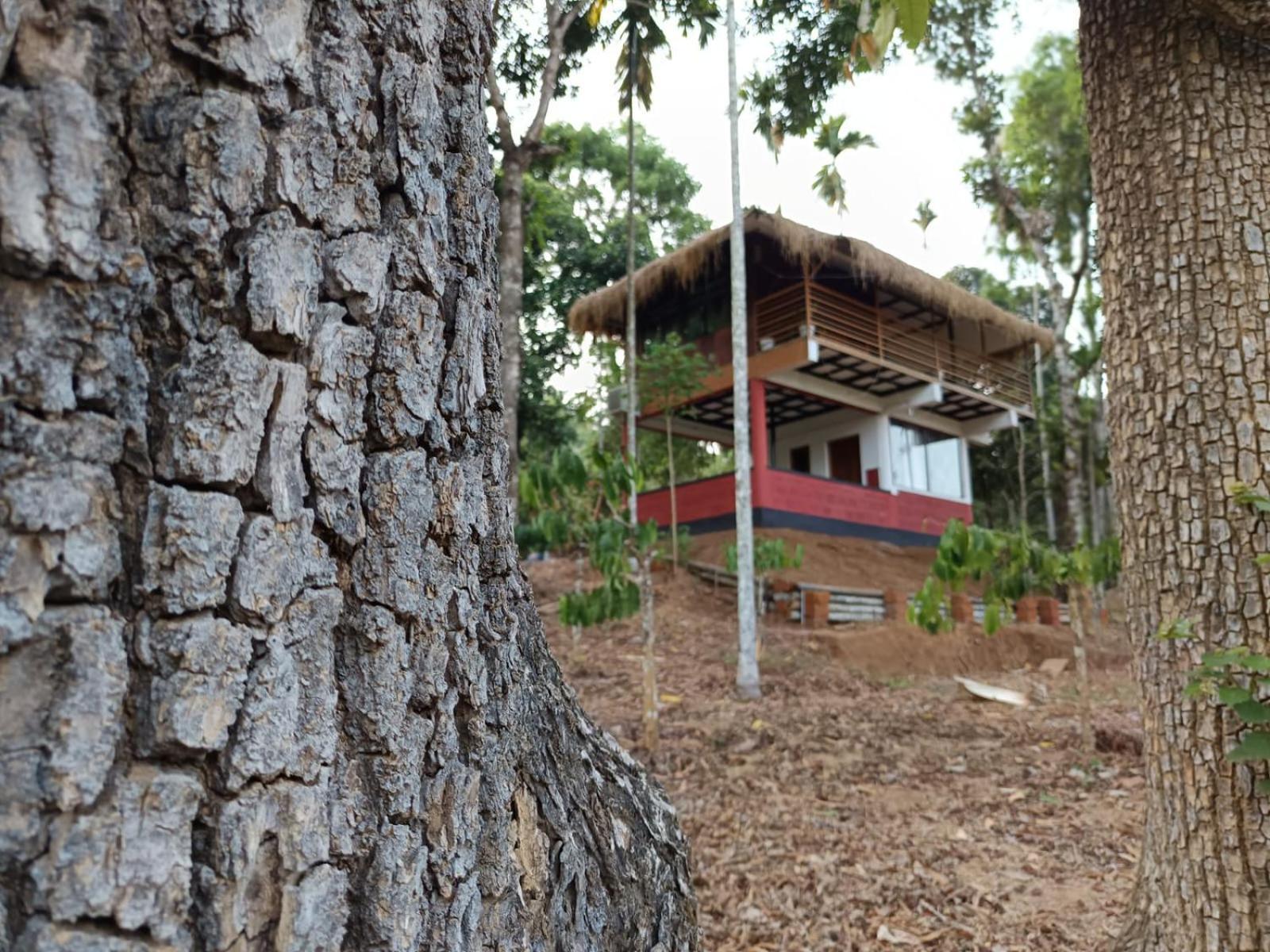 Chegāt Kuruva Shoreline Wayanad מראה חיצוני תמונה