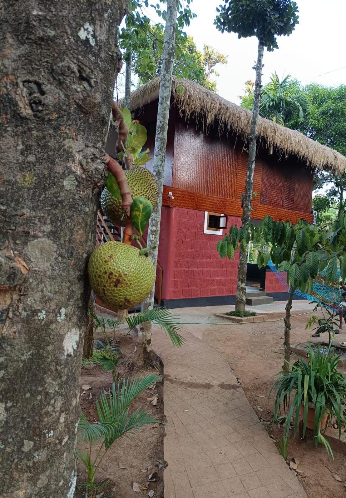 Chegāt Kuruva Shoreline Wayanad מראה חיצוני תמונה