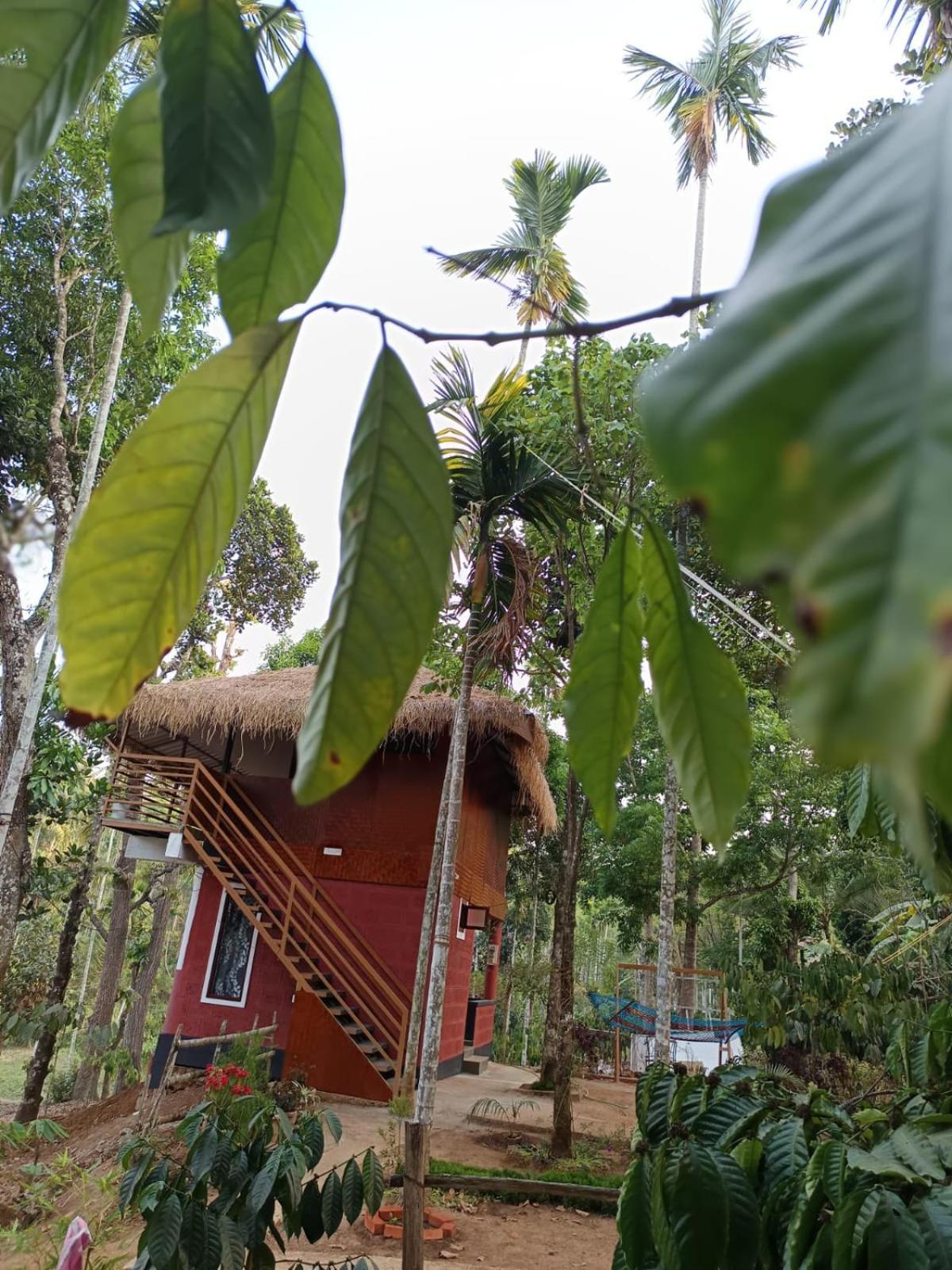 Chegāt Kuruva Shoreline Wayanad מראה חיצוני תמונה