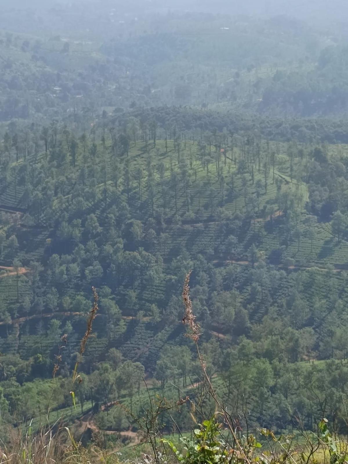 Chegāt Kuruva Shoreline Wayanad מראה חיצוני תמונה